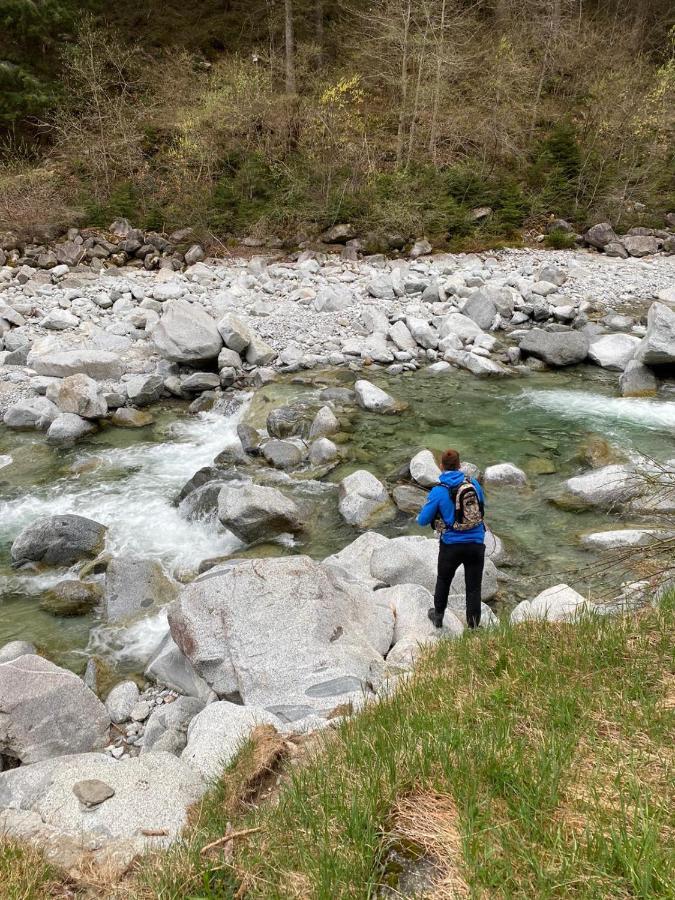 Hotel Binelli Pinzolo Kültér fotó