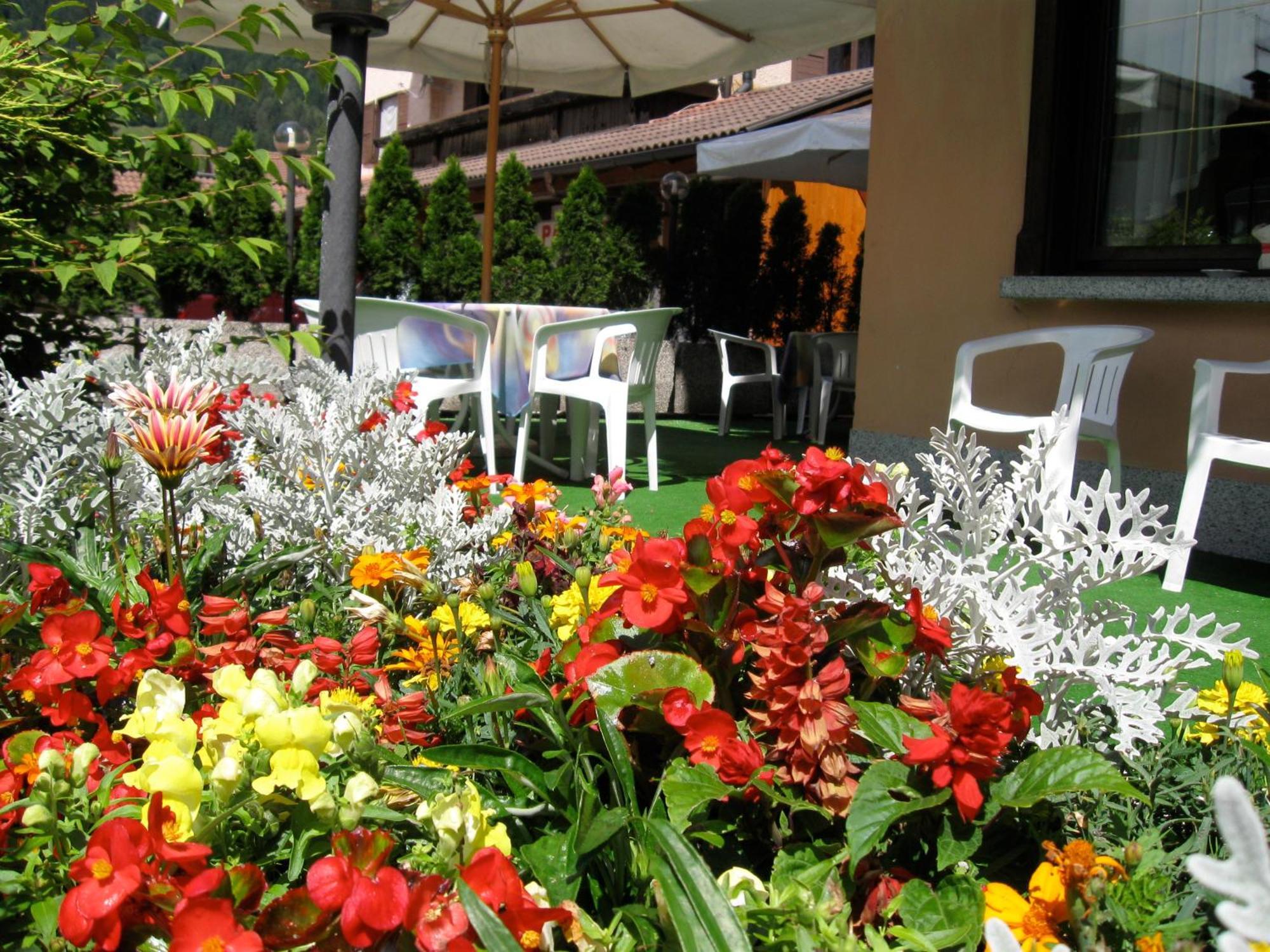 Hotel Binelli Pinzolo Kültér fotó