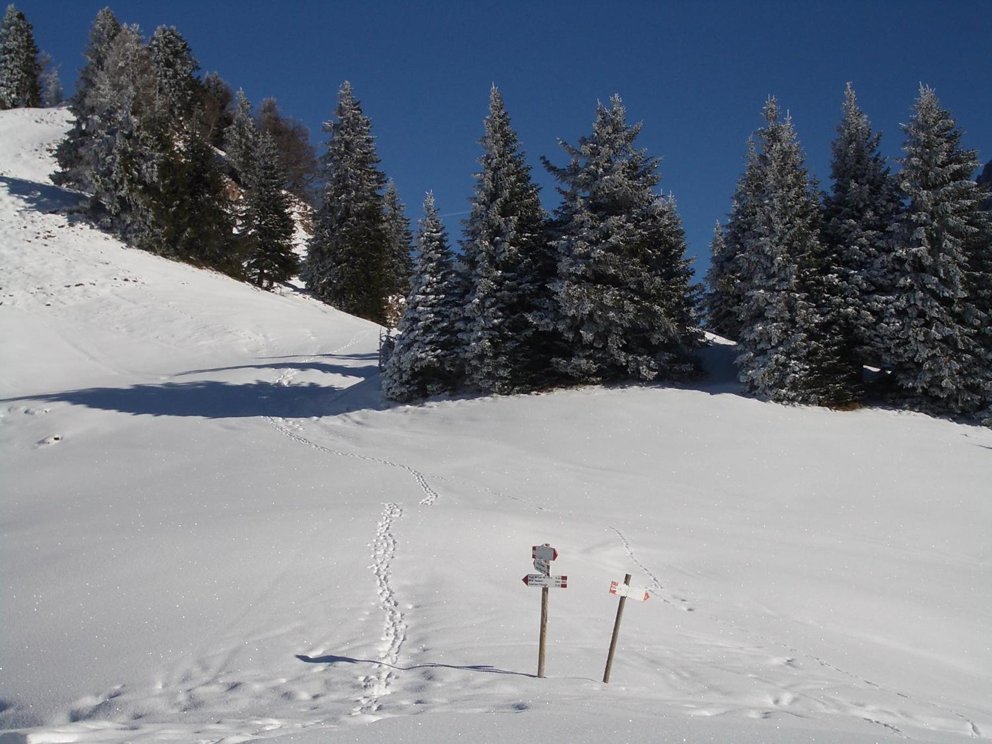 Hotel Binelli Pinzolo Kültér fotó