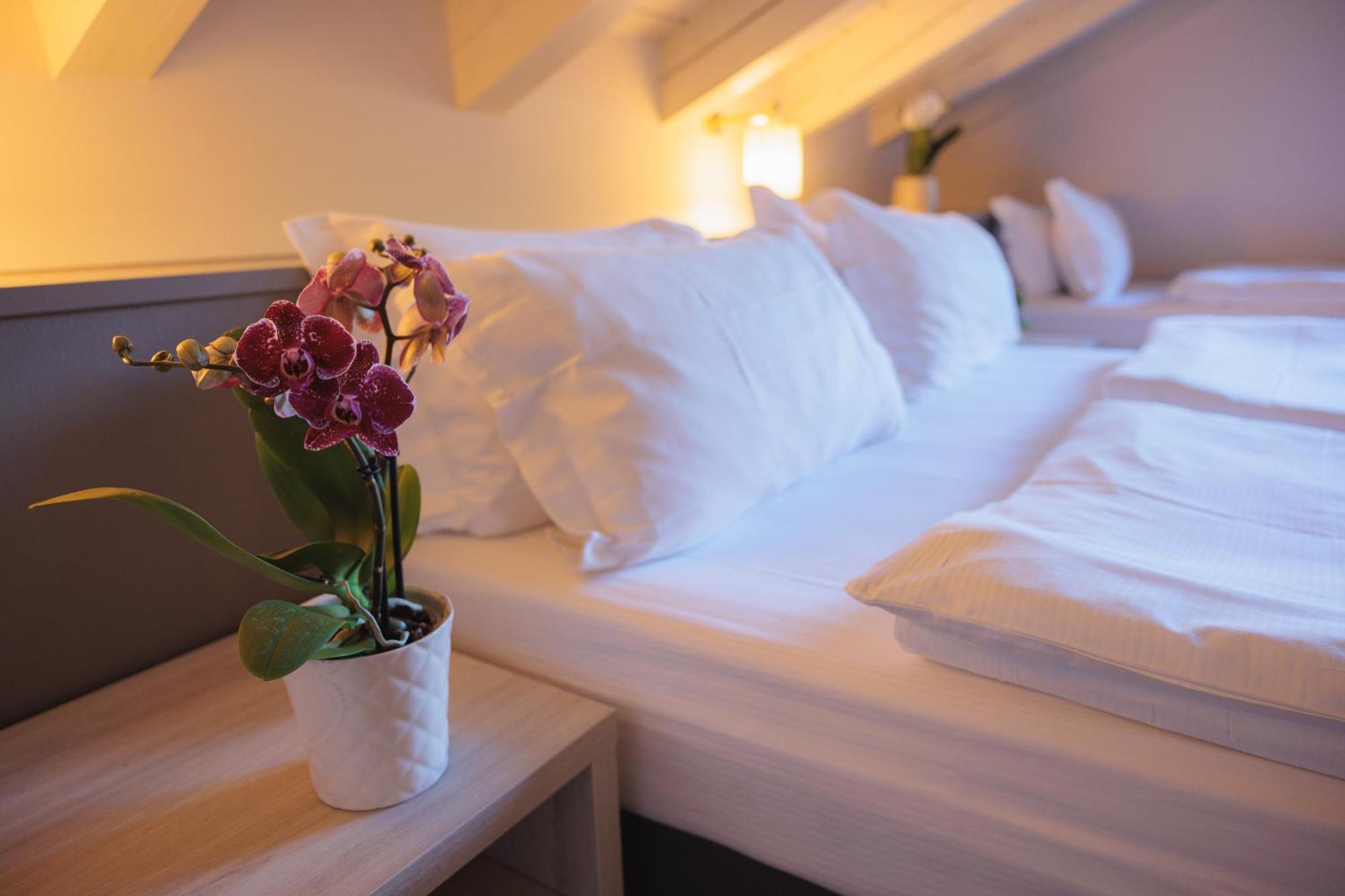 Hotel Binelli Pinzolo Kültér fotó