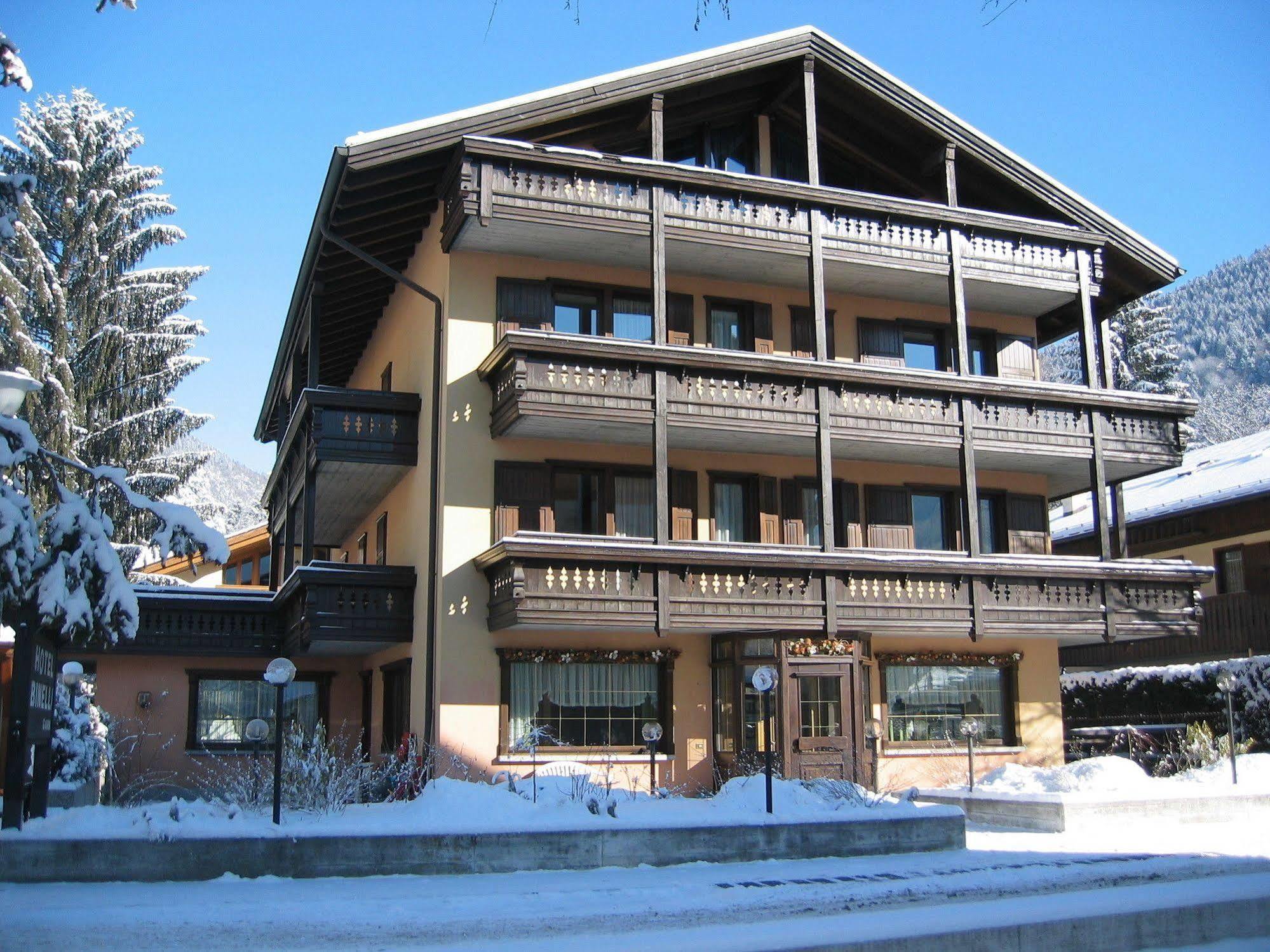 Hotel Binelli Pinzolo Kültér fotó